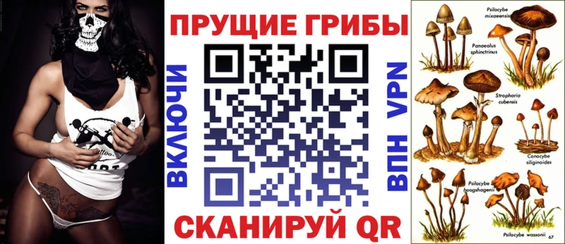 Галлюциногенные грибы Cubensis  Купить  Реж 