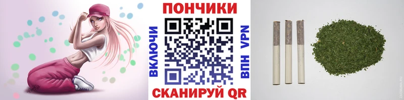 Бошки марихуана гибрид  Купить закладки  Реж 